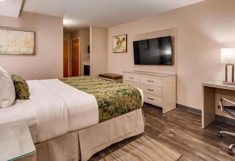 Стандартный Номер Кровать Кинг, Best Western Premier I95 Savannah Airport/ Pooler West