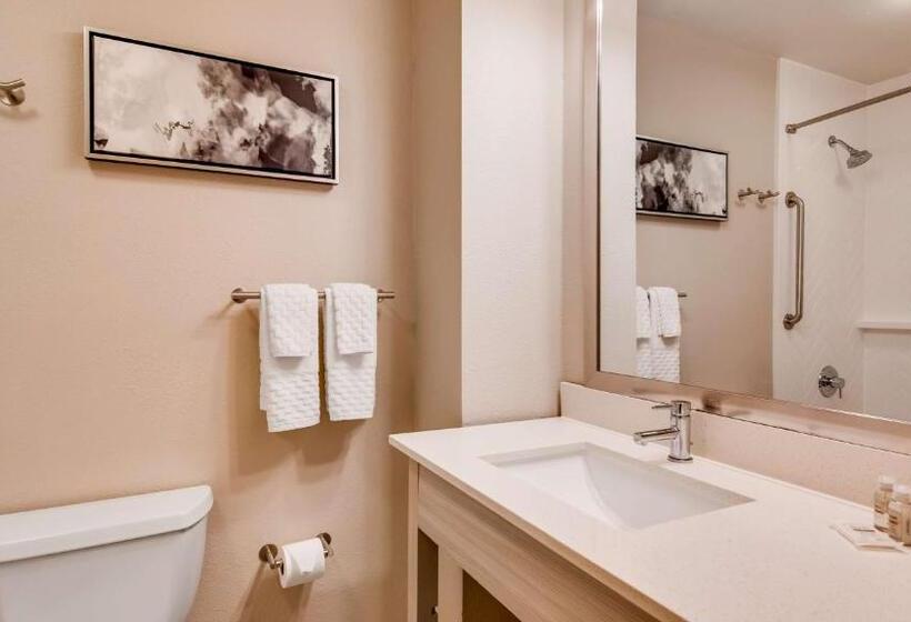 Стандартный Номер Кровать Кинг, Best Western Premier I95 Savannah Airport/ Pooler West