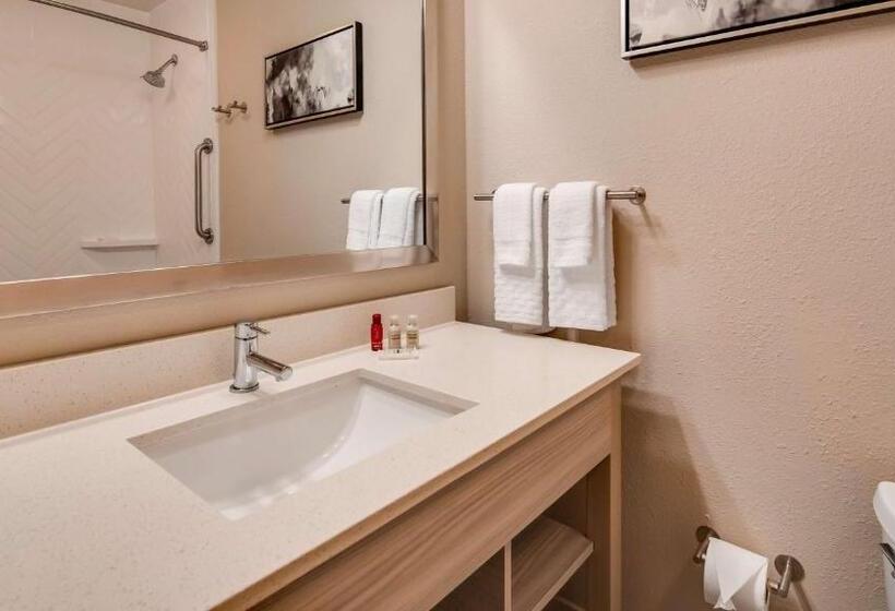 Номер Стандарт Адаптированный для Инвалидов, Best Western Premier I95 Savannah Airport/ Pooler West