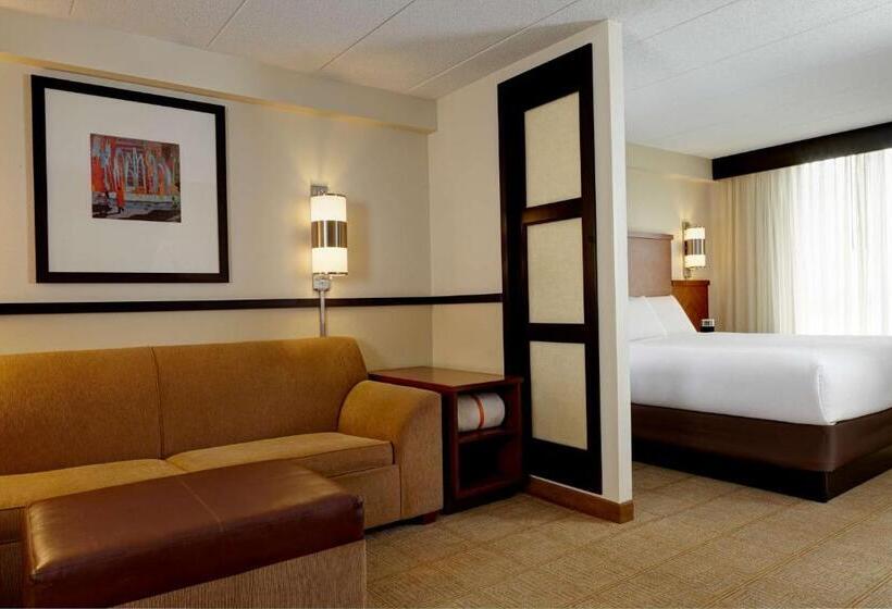 Стандартный Номер Кровать Кинг, Hyatt Place Detroit/utica