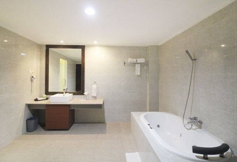 Полулюкс, Swiss Belhotel Manokwari