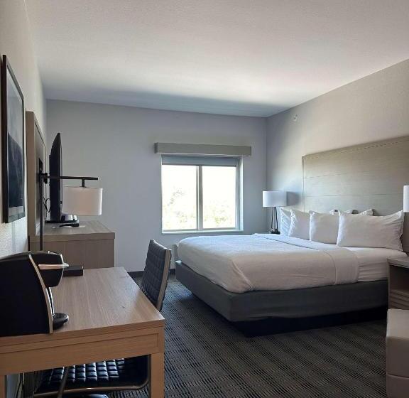 스탠다드 룸 킹사이즈 침대, Best Western Plus Chandler