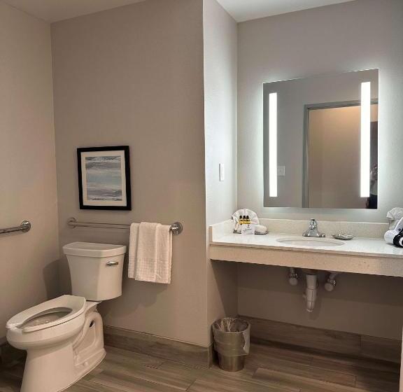 장애인을 위한 스탠다드 룸, Best Western Plus Chandler