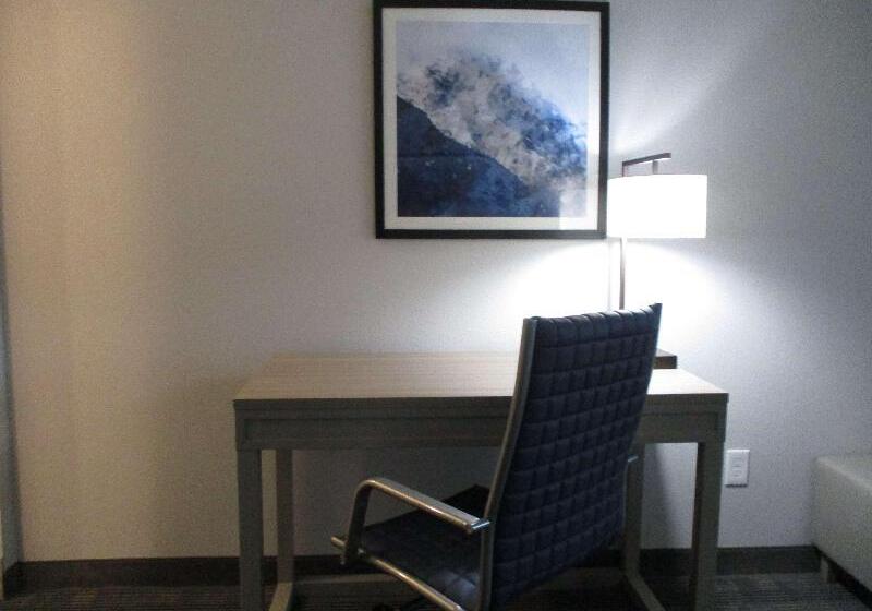 장애인을 위한 스탠다드 룸, Best Western Plus Chandler