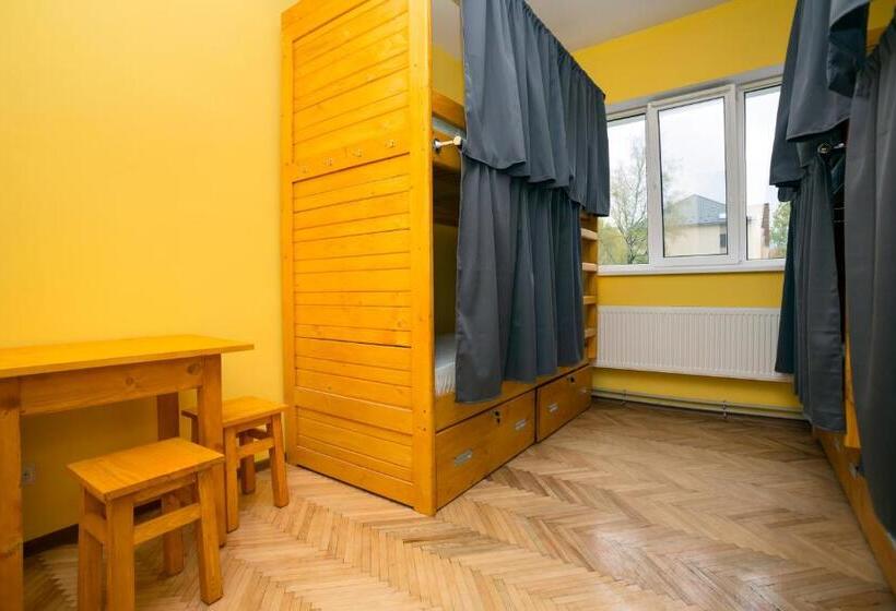 Кровать в Общей Комнате, Dream Hostel Carpathians Rakhiv