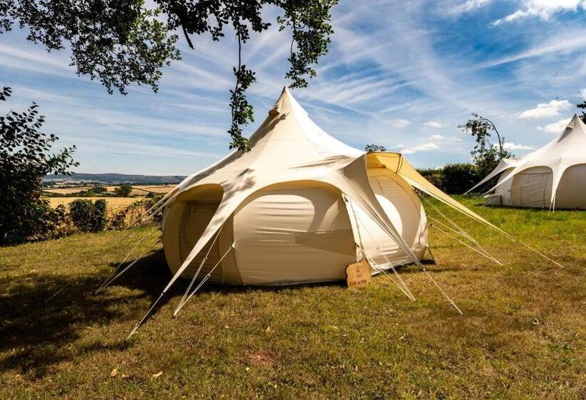 Standard Tent, Croydon Hall