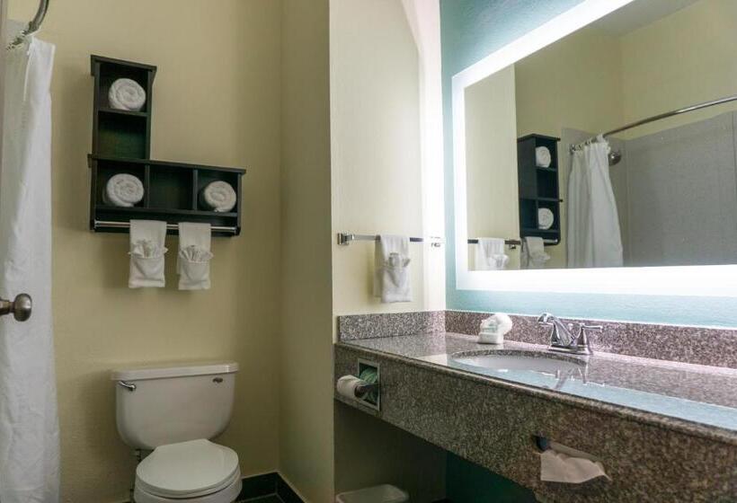 장애인을 위한 킹사이즈 침대 스탠다드 룸, Best Western Mayport Inn & Suites