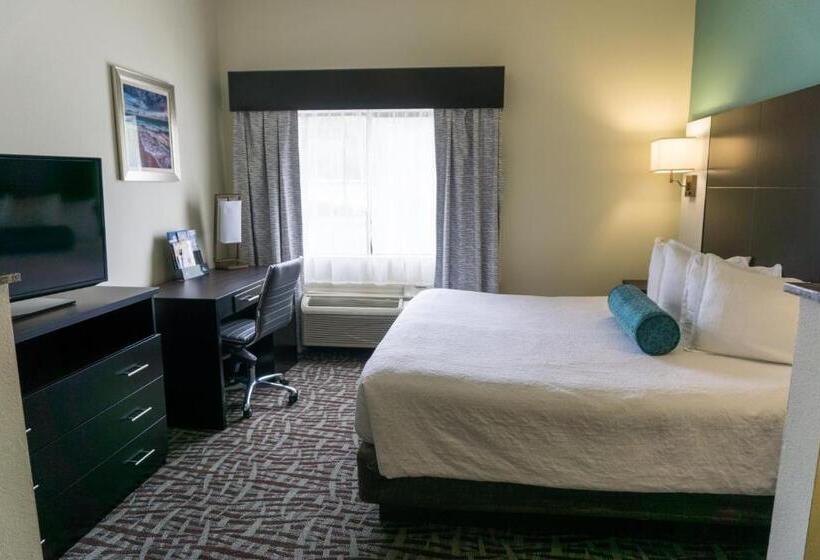 장애인을 위한 킹사이즈 침대 스탠다드 룸, Best Western Mayport Inn & Suites