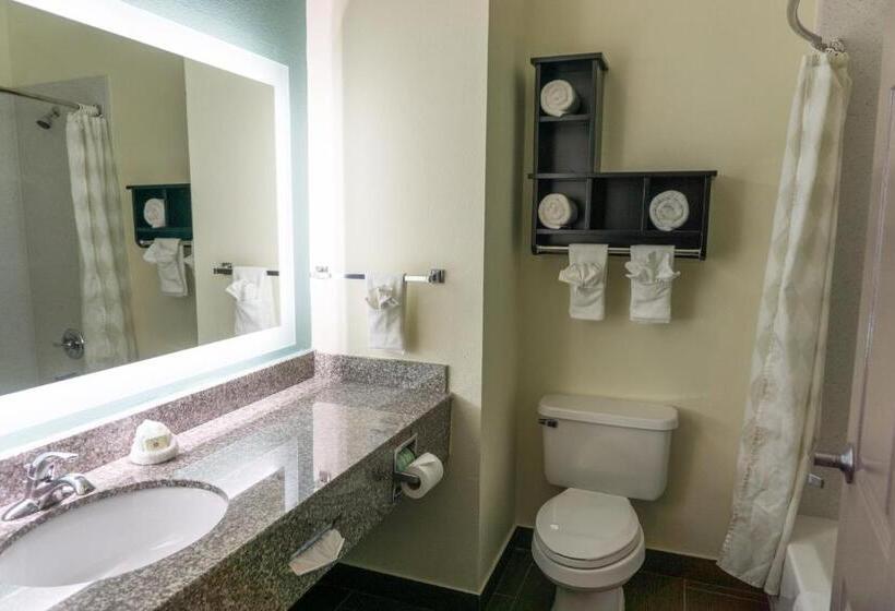 מיטת קינג בסוויטה, Best Western Mayport Inn & Suites