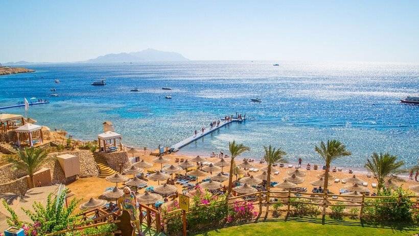 اتاق خانوادگی, Island View Resort