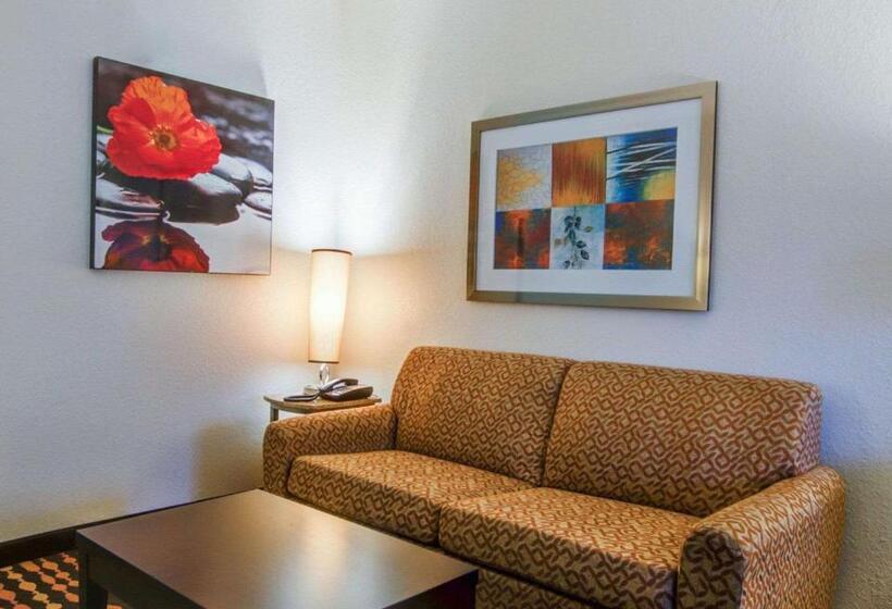 Люкс Кровать Кинг, Comfort Suites Northside Hospital Gwinnett