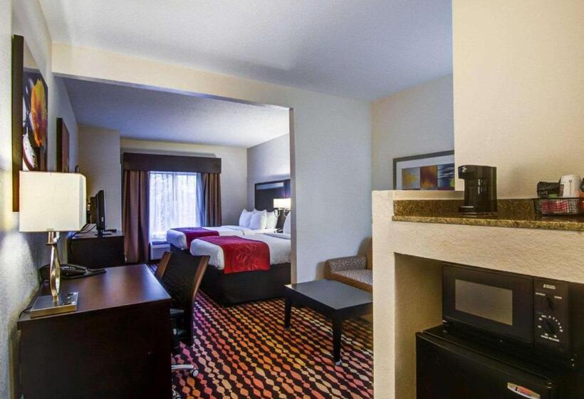 Люкс, Comfort Suites Northside Hospital Gwinnett