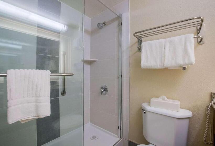 带大床的标准间, Quality Inn Near Princeton