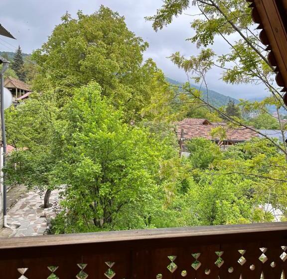 اتاق استاندارد سه نفره, Old Dili