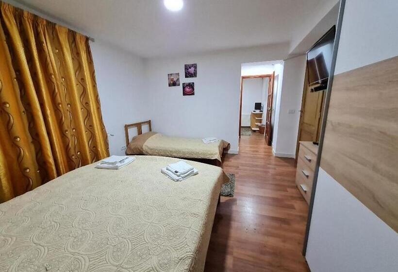 침실 1개 발코니 아파트, Pensiunea Casa Zmeilor