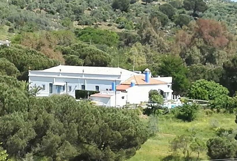اتاق استاندارد با چشم‌انداز باغ, Casa Grande