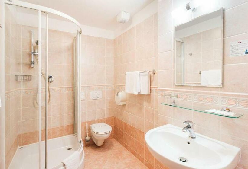 Номер Стандарт, Wellness Hotel Grand