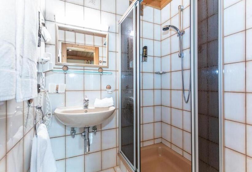Апартаменты 1 Спальня, Landhaus Rohregger