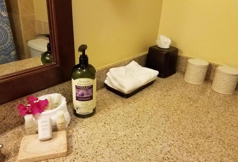 디럭스 룸 산전망, 2417 At Oceanfront Resort Lihue Kauai Beach Drive Private Condo