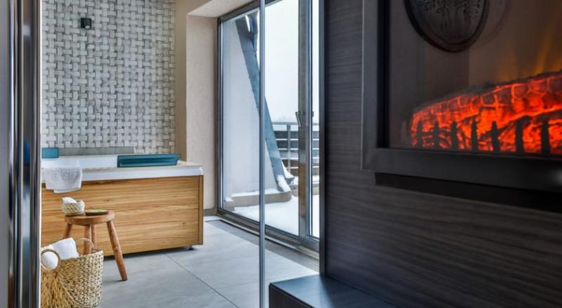 이그제큐티브 룸, Elexus Apartments Poiana Brasov