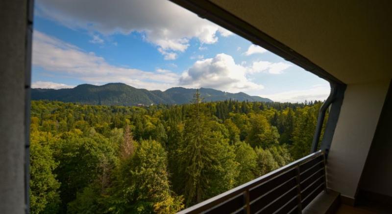 산전망 주니어 스위트, Elexus Apartments Poiana Brasov