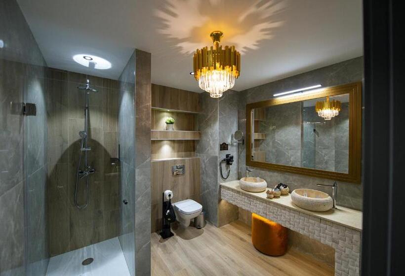 1침실 펜트하우스 아파트, Elexus Apartments Poiana Brasov