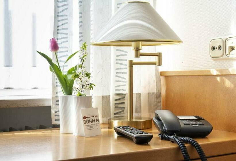 Одноместный Номер Basic, & Apartments Böhm