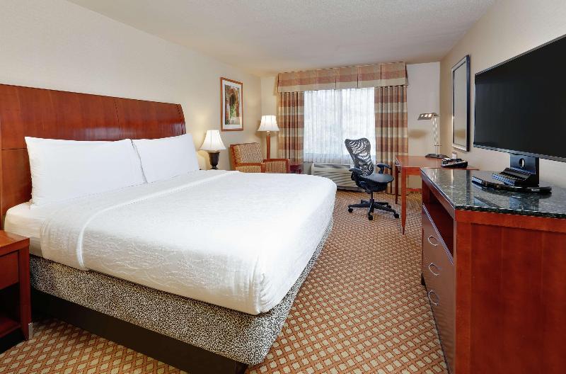 Cameră Standard Pat King Size, Hilton Garden Inn San Diego Del Mar