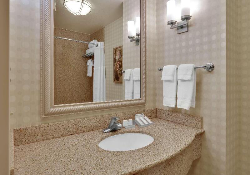 Cameră Standard Pat King Size, Hilton Garden Inn San Diego Del Mar