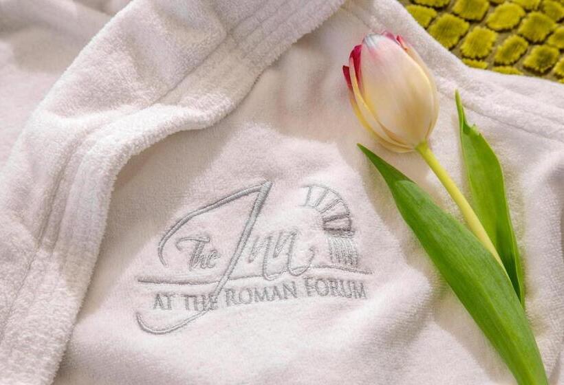 آپارتمان 2 خوابه با تراس, The Inn At The Roman Forum