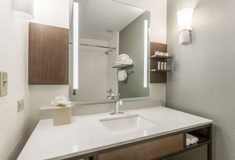 Люкс, Hilton Garden Inn Chicago/tinley Park