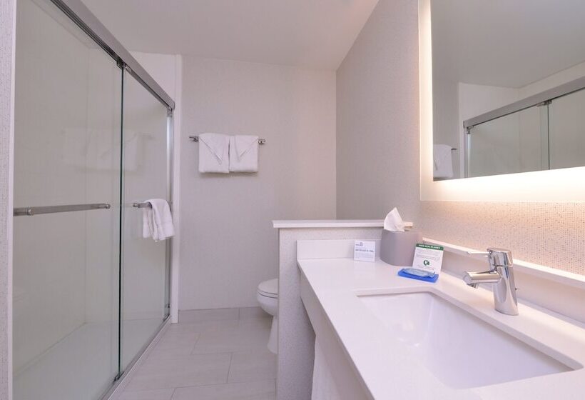 Номер Стандарт, Holiday Inn Express Hotel & Suites Southfield   Detroit, An Ihg