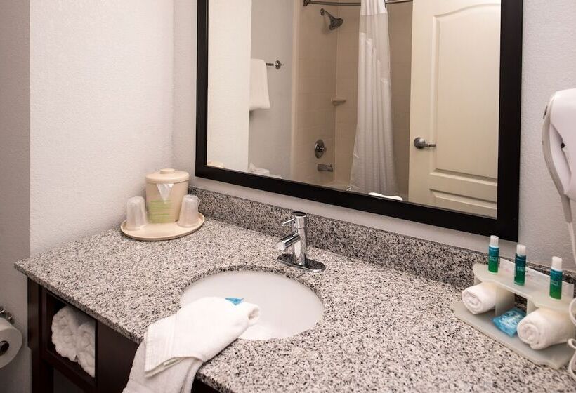 스위트, Holiday Inn Express & Suites Alamogordo Highway 54/70, An Ihg