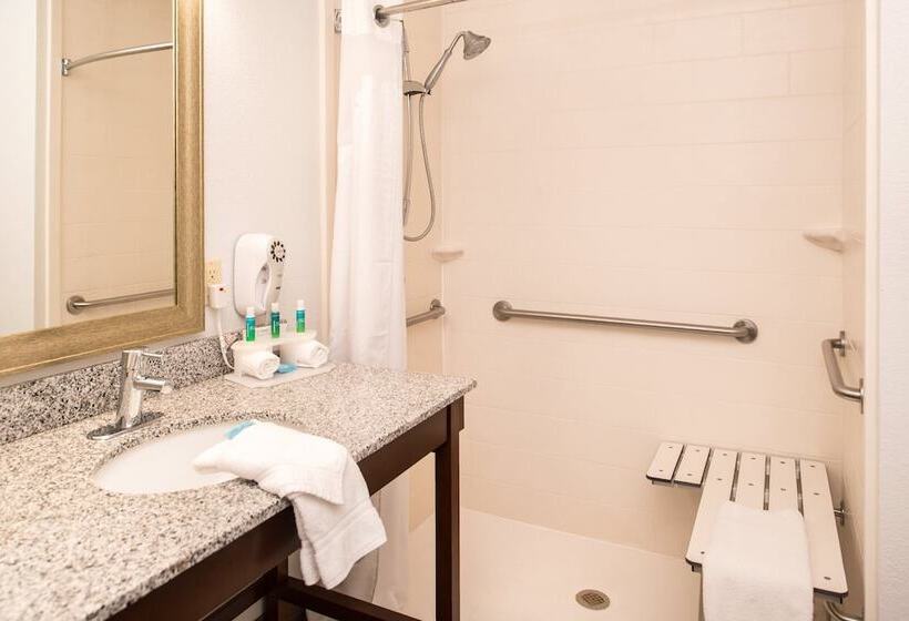 스위트, Holiday Inn Express & Suites Alamogordo Highway 54/70, An Ihg