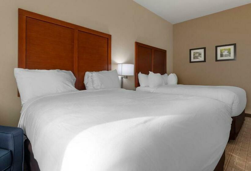 Номер Стандарт Кровать Квин Адаптированный для Инвалидов, Comfort Inn & Suites