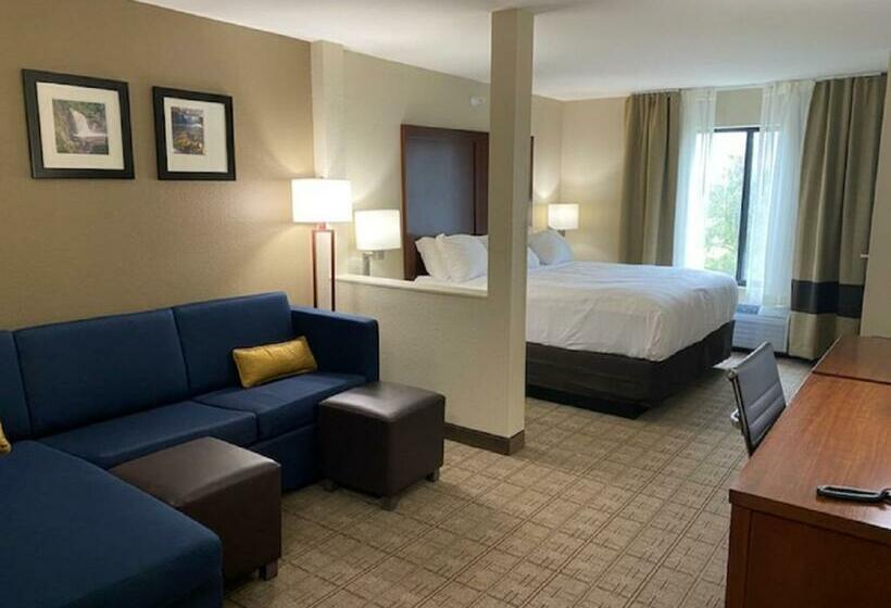 Люкс Кровать Кинг, Comfort Inn & Suites