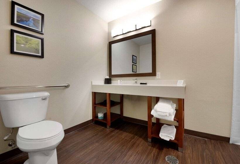 Люкс Адаптированный для Инвалидов, Comfort Inn & Suites