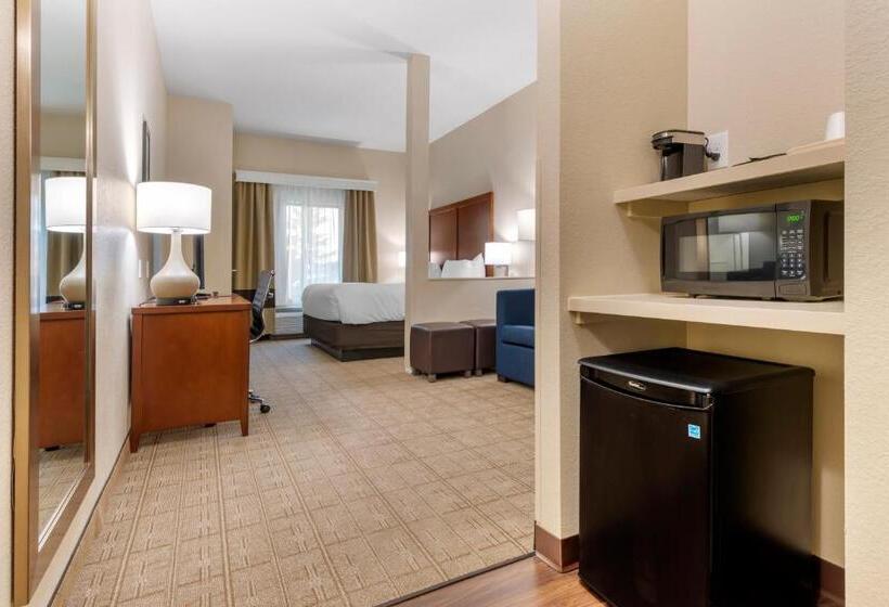 Люкс Адаптированный для Инвалидов, Comfort Inn & Suites