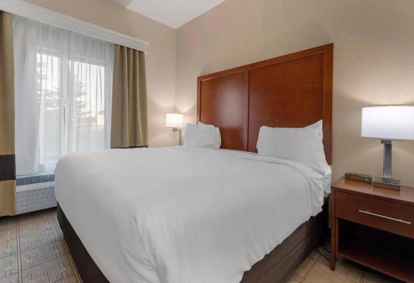 Номер Стандарт Кровать Кинг Адаптированный для Инвалидов, Comfort Inn & Suites