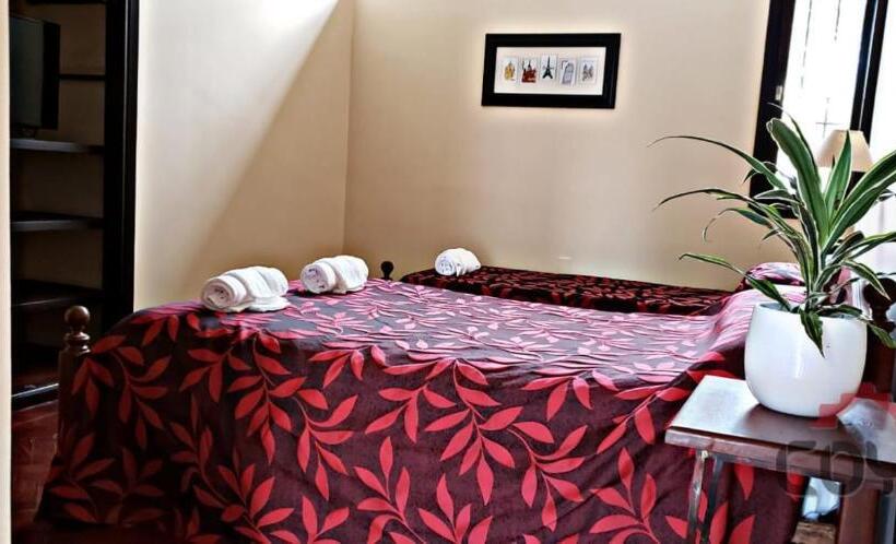 اتاق استاندارد چهار تخته, Coya Hostel