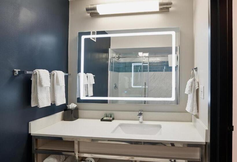 身障者適用キングサイズベッドルーム, Doubletree By Hilton Hilton Head Island