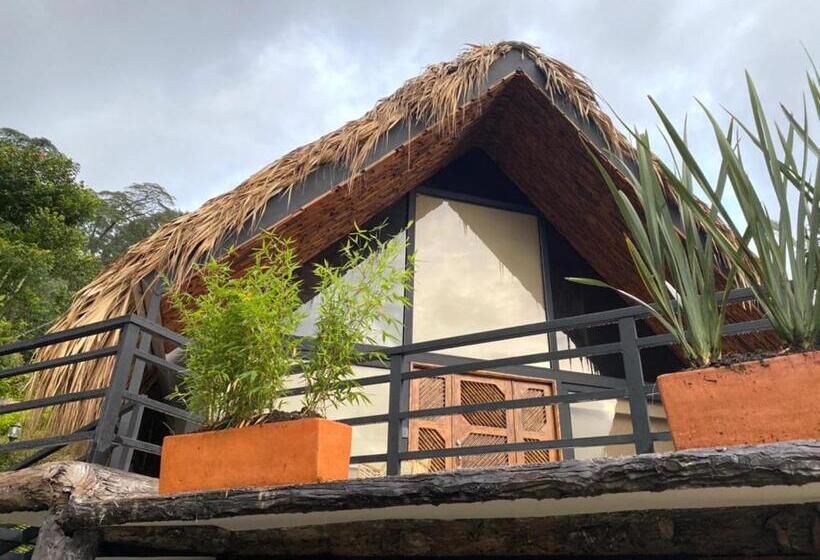 带阳台套房, Rancho Ecoturistico El Faro
