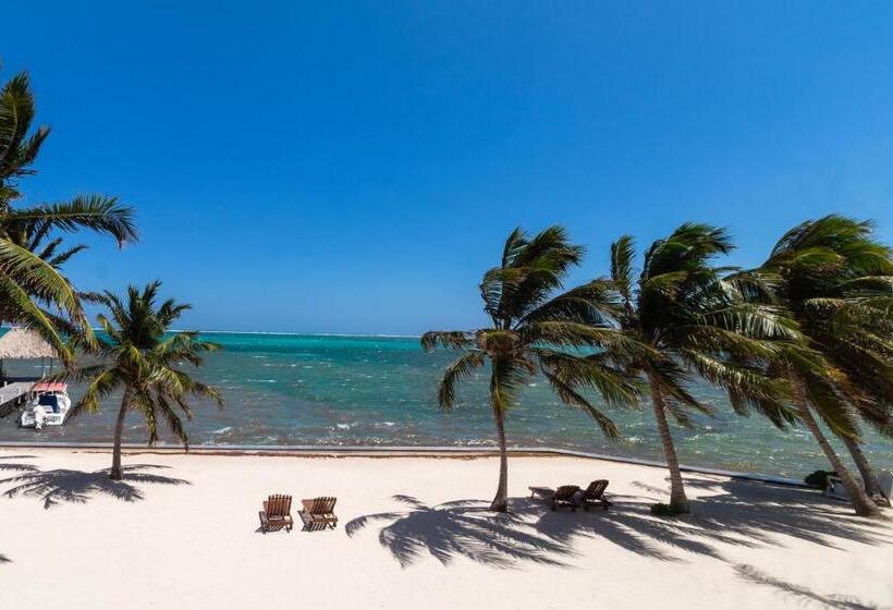 Люкс Кровать Кинг, Tara Del Sol Resort