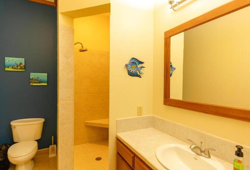 Вилла Deluxe 3 Спальни, Tara Del Sol Resort