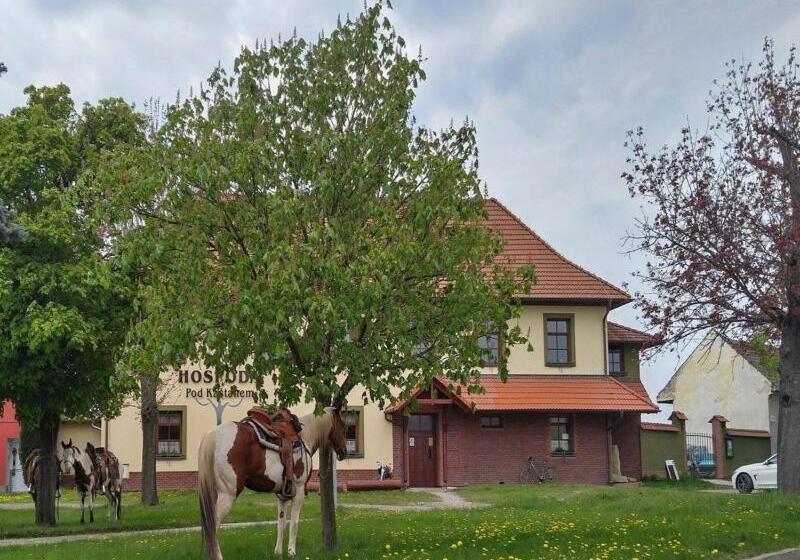 Студия Стандарт, Penzion Pod Kaštanem