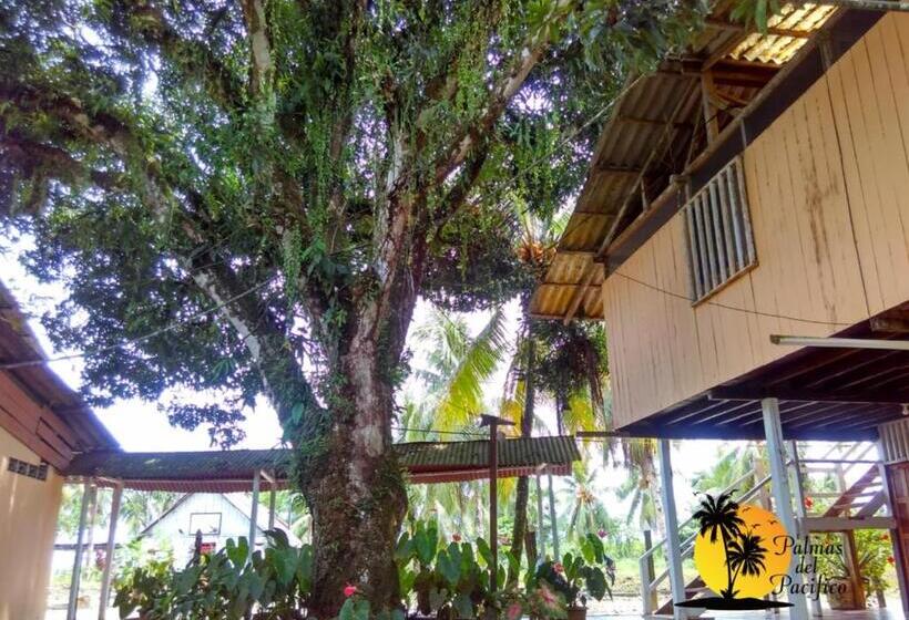 Трехместный Номер Классика, Palmas Del Pacifico