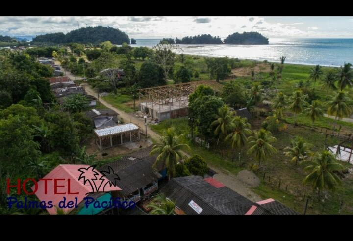 Трехместный Номер Классика, Palmas Del Pacifico