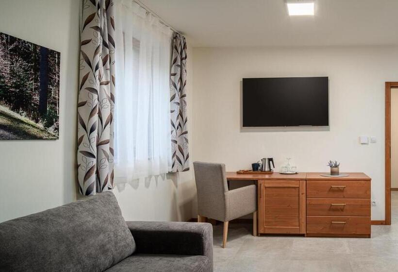 带大床的标准间, Wellness Hotel Ondrášův Dvůr