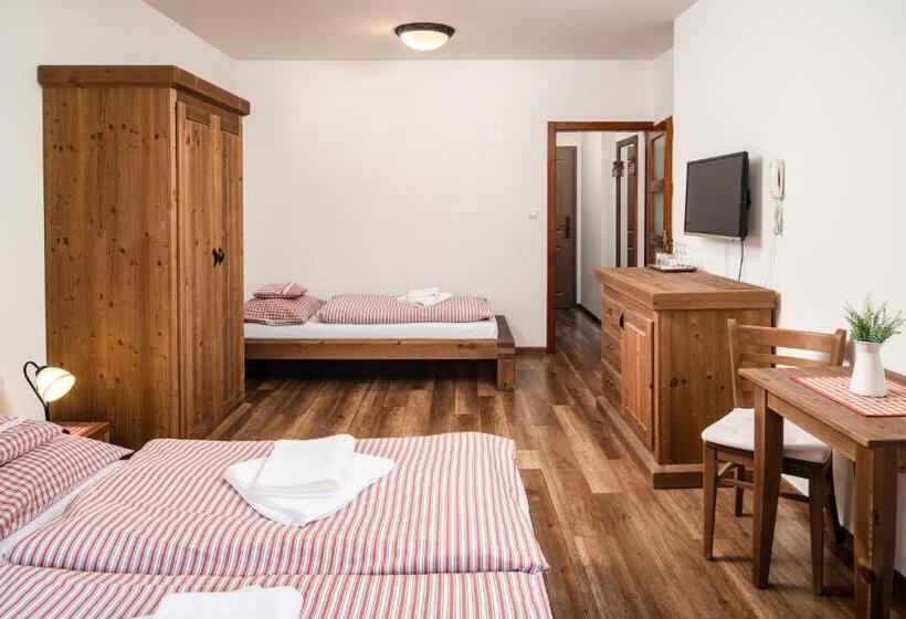 标准间, Wellness Hotel Ondrášův Dvůr
