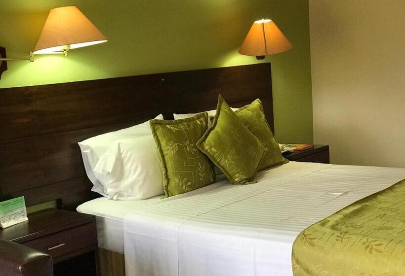 스탠다드 싱글 룸, Casa Morales Hotel Internacional Y Centro De Convenciones